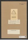 Triceratium sarcophagus Castr. (de-Toni-Nr.: Genus 140, Species 3735) Zeichnungen Sammlung Grunow Nr. 7247 (NHMW-BOT-W0376247)